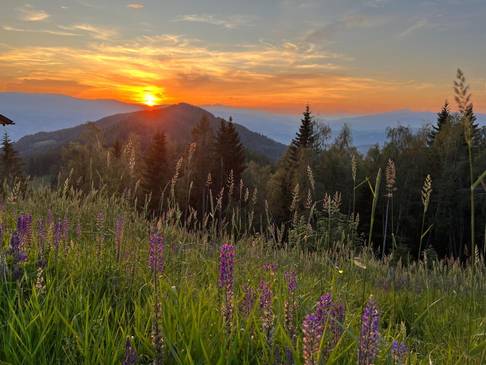 Feriendorf Koralpe Alpenrose Villa Frantschach Exterior foto